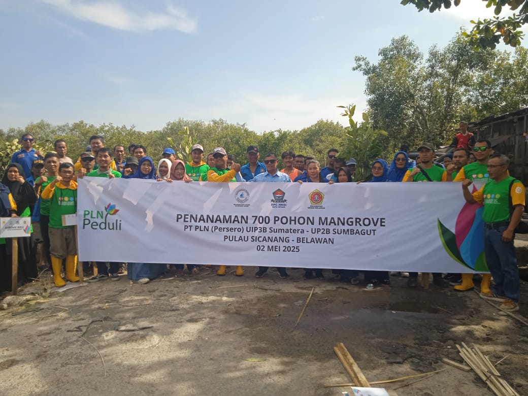 TANAM POHON: PT PLN Perseri UIP3B Sumatera dan UP2B Sumbagut berkolaborasi dengan DPC HNSI Kota Medan, Relawan Wak Young Sumatera Utara, dan Karang Taruna melakukan penanaman 700 pohon mangrove