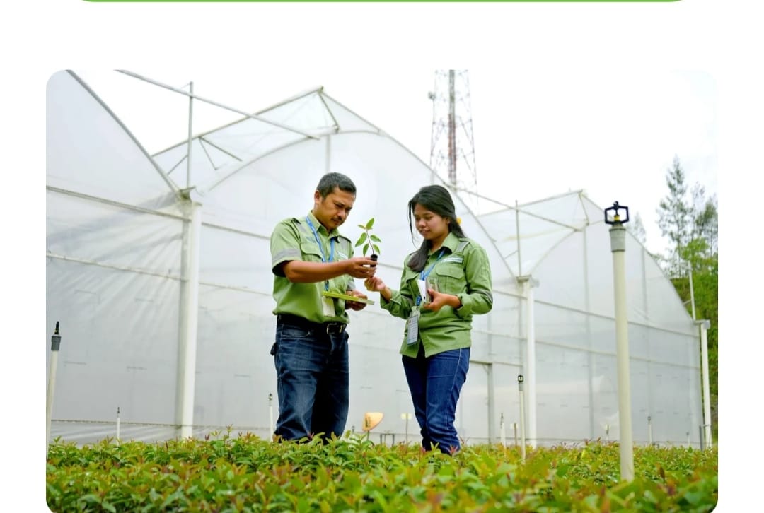 Karyawan TPL. Saat ini mempekerjakan lebih dari 9.000 orang, baik pekerja langsung maupun tidak langsung, dan didukung oleh lebih dari 4.000 Kelompok Tani Hutan dan pelaku UMKM.  Foto : Dok TPL