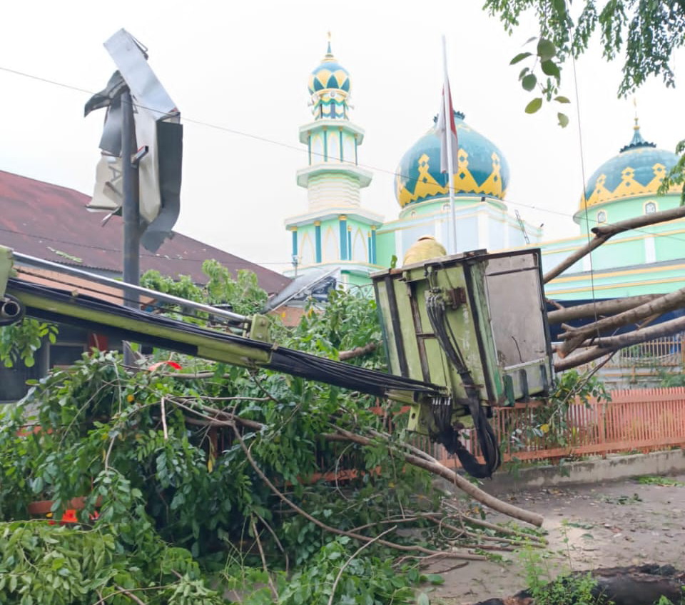 Petugas membersihkan pohon tumbang akibat hujan deras dan angin kencang yang melanda Medan, Jumat (23/5/2025). (Dok Pemko Medan)