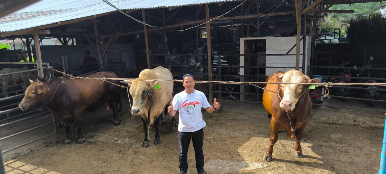 BERSAMA: Suyanto, pemilik Bang YT Farm foto bersama 3 sapi qurban super premium yang dibeli Presiden Prabowo Subianto. Teddy Akbari/Sumut Pos