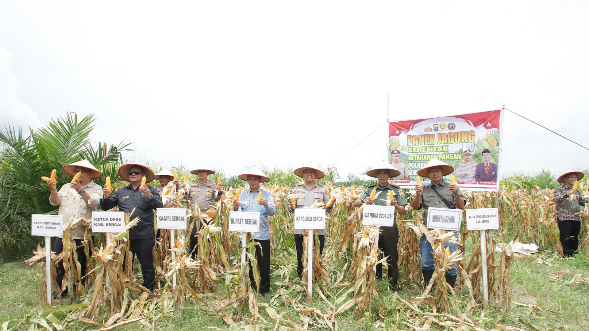 PANEN RAYA: Kapolres Sergai AKBP Jhon Sitepu, S.I.K., M.H bersama Forkopimda Sergai saat panen raya kuartal II tahun 2025. (FADLY/SUMUTPOS)