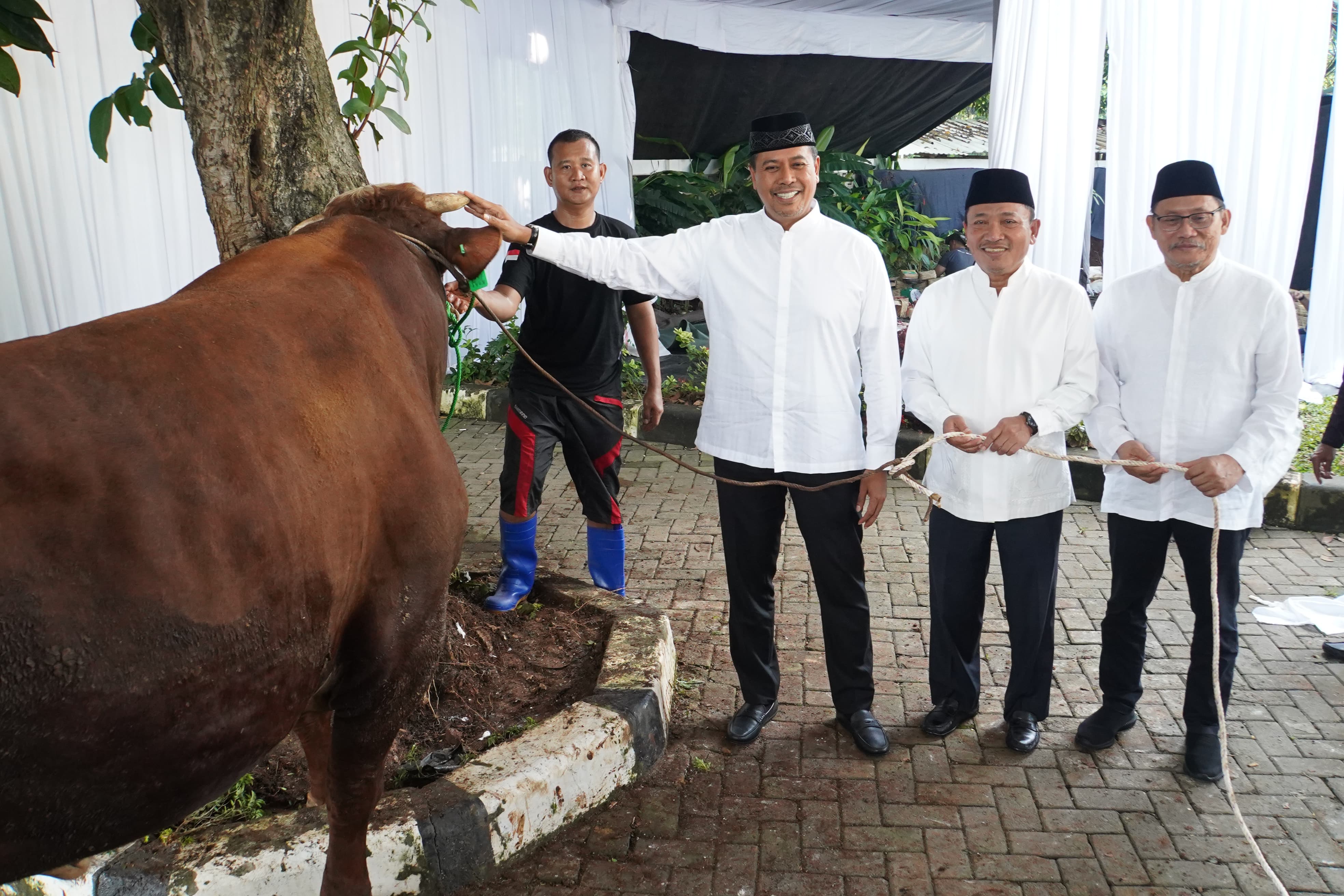 SAKSIKAN: Direktur Utama BSI Anggoro Eko Cahyo , Wakil Direktur Utama BSI Bob T.ananta  dan Direktur Eksekutif BSI Maslahat Sukoriyanto Saputro  saat menyaksikan prosesi pemotongan hewan kurban.