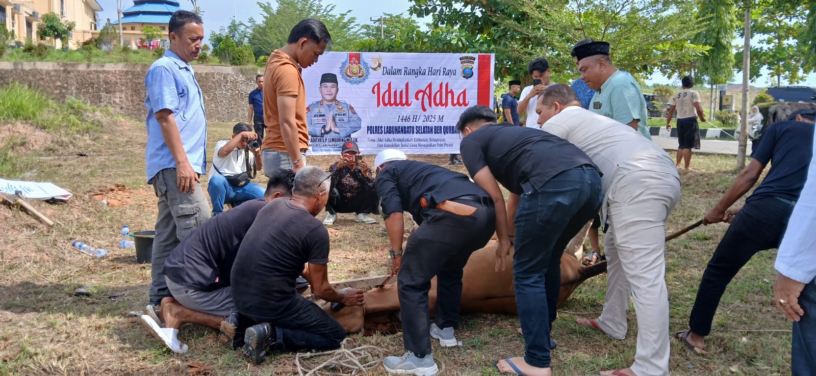 HEWAN KURBAN: Personel Polres Labusel menyembelih hewan kurban untuk dibagikan ke masjid dan jajaran Polsek. Foto: Khairuddin/Sumut Pos