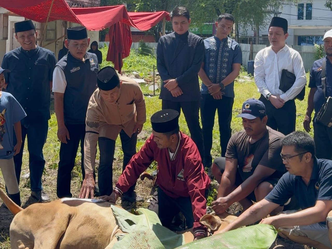 SAKSIKAN: Wakil Ketua DPW Partai NasDem Sumut, Ricky Anthony saat menyaksikan sembelih hewan kurban di kantornya.Istimewa/Sumut Pos