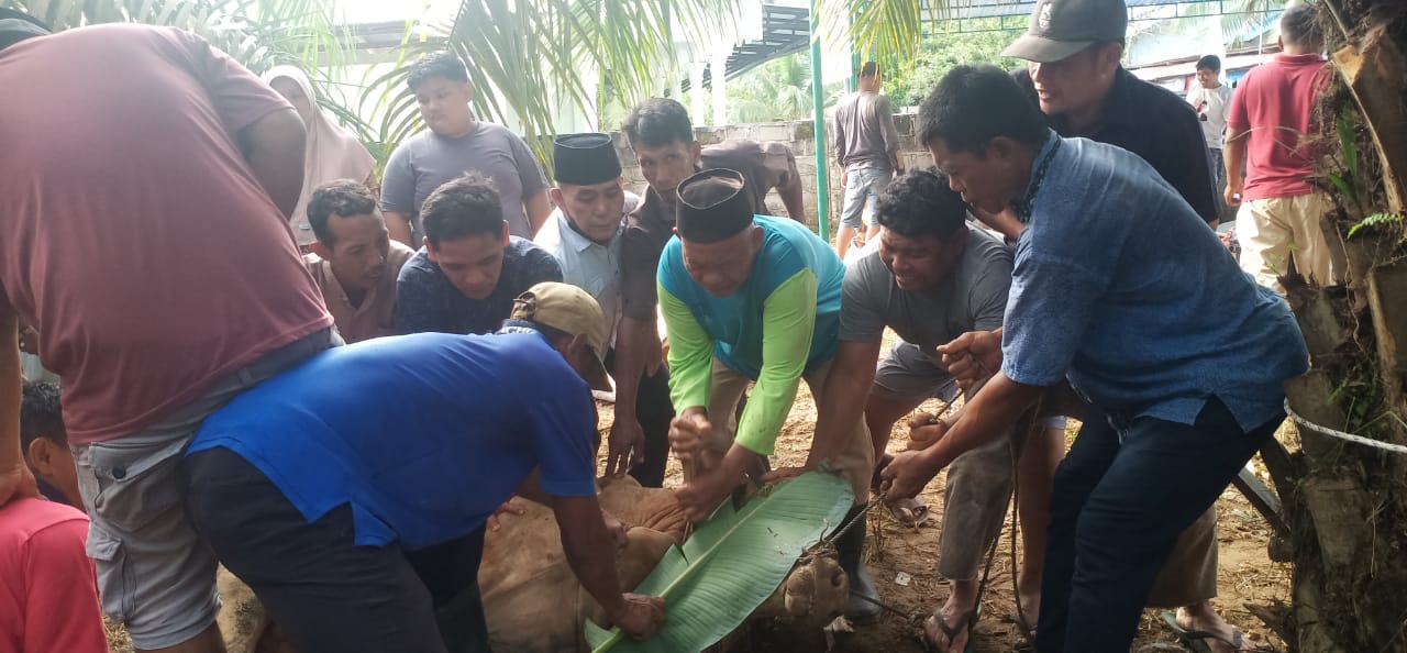 POTONG: Masyarakat Desa Sidua-dua Dusun 5 Labura bergotong royong saat melakukan penyembelihan hewan kurban. (Dok: Istimewa/Sumut Pos)