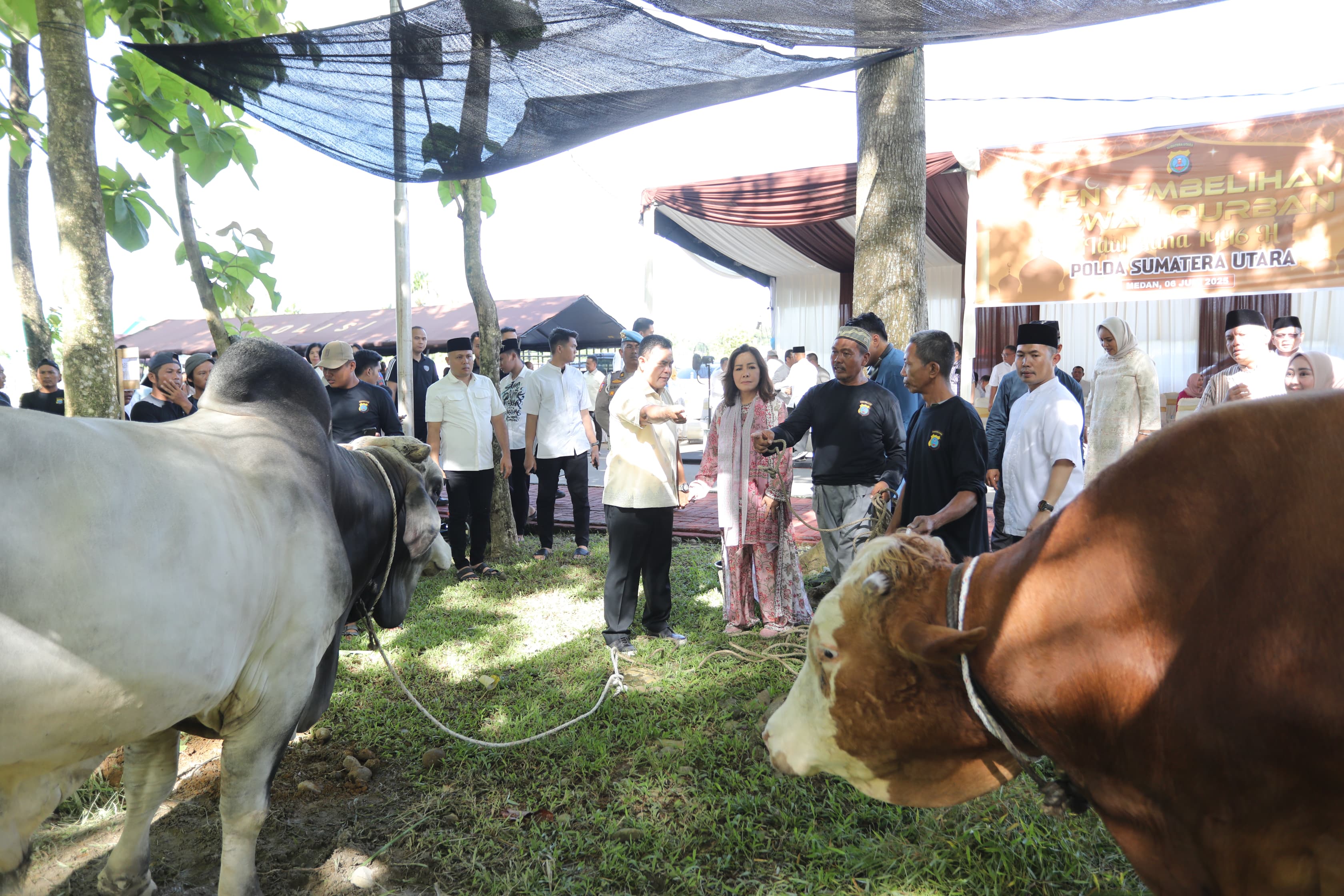 PERSONEL: Jajaran Personel Polda Sumut saat melihat hewan kurban Iduladha 1446 hijriah. (Dok: istimewa)