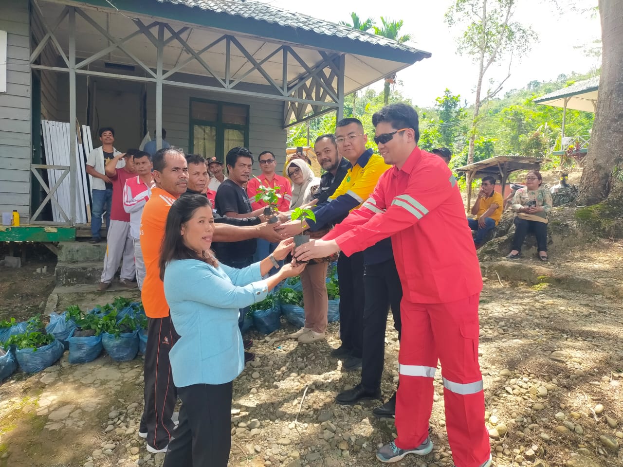 SERAHKAN: Manajemen PT DPM diwakili Mr Jin Xueguan, Mr Hans dan Senior Supervisor CSR, Budianto Situmorang serahkan bibit kopi kepada petani, Jumat (13/6/2025).RUDY SITANGGANG/SUMUT POS.