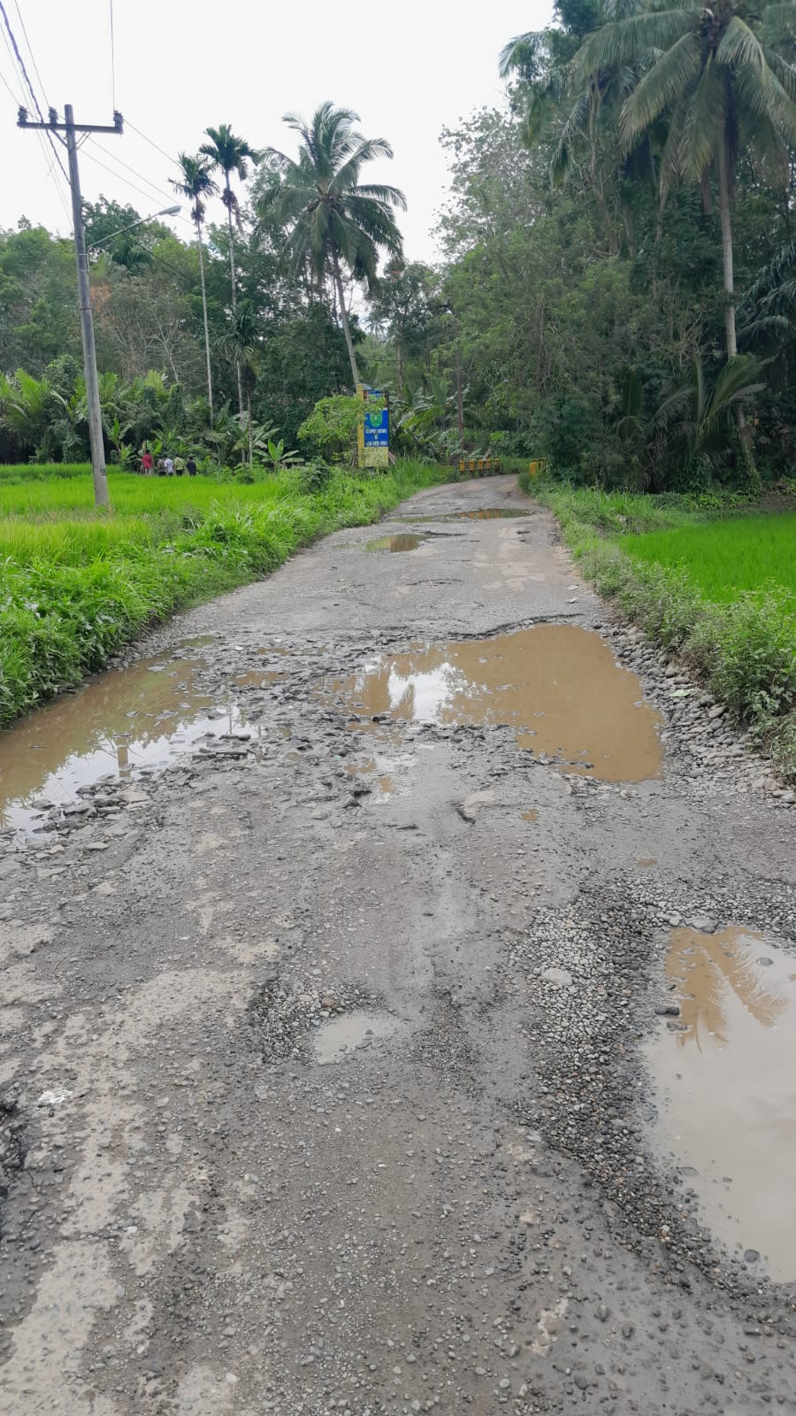 BERLUBANG: Salah satu infrastruktur jalan yang rusak dan berlubang di Padangsidimpuan.