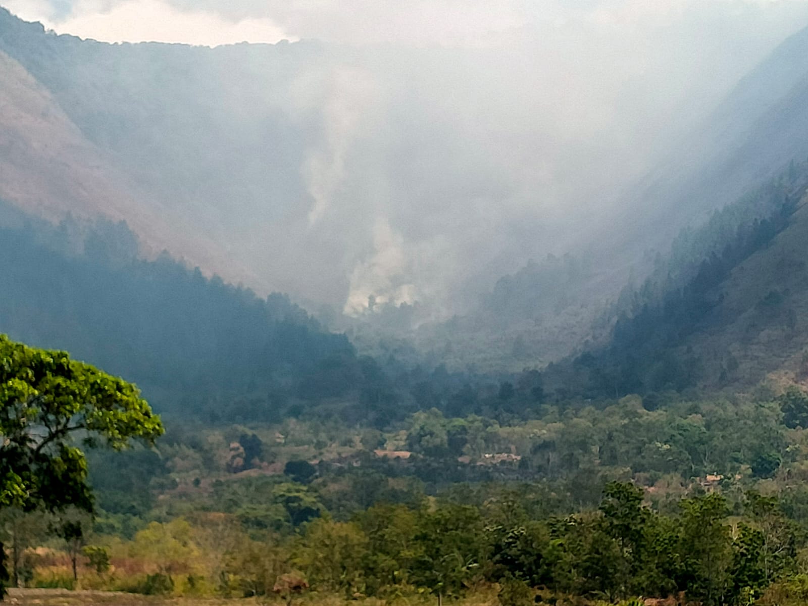 PERUKITAN: Kondisi terkini Karhutla perbukitan Desa Habeahan Naburahan, Sianjur Mula-Mula, Kabupaten Samosir, Senin (29/7/2025).