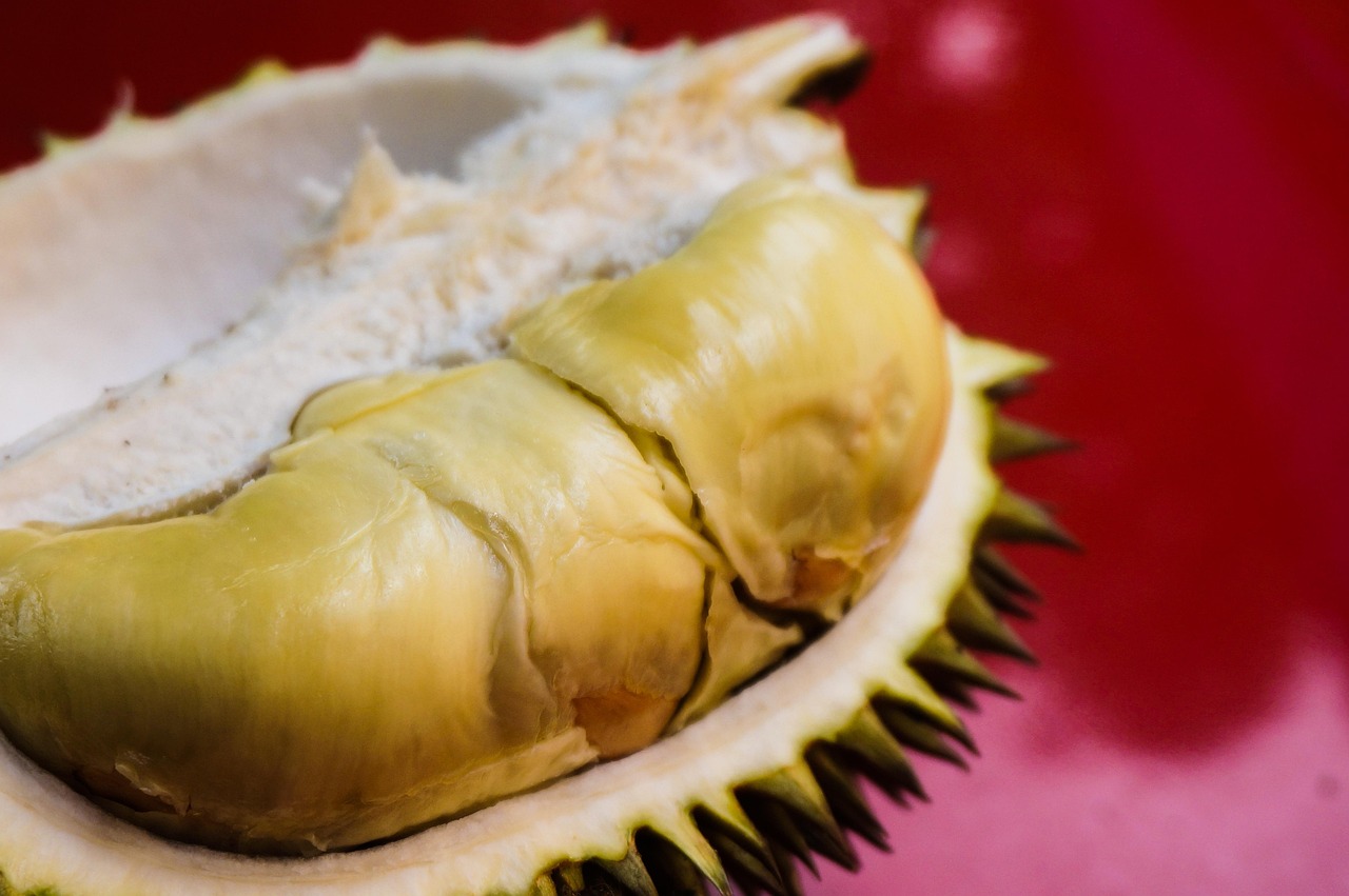 Durian kualitas super. Foto : pikabay. com.