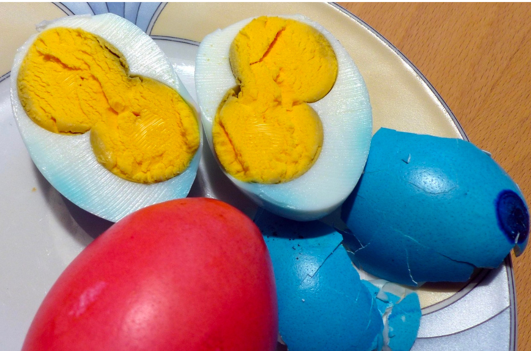 Telur 2 kuning, pixabay.com.