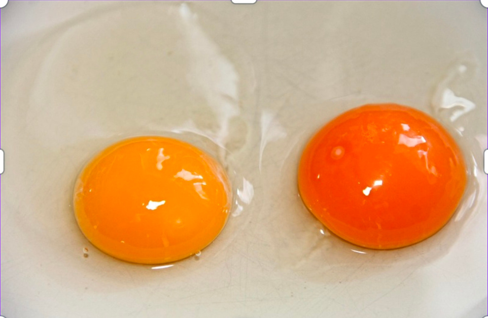 Telur dua kuning ( youtube wist&nbsp;moon).