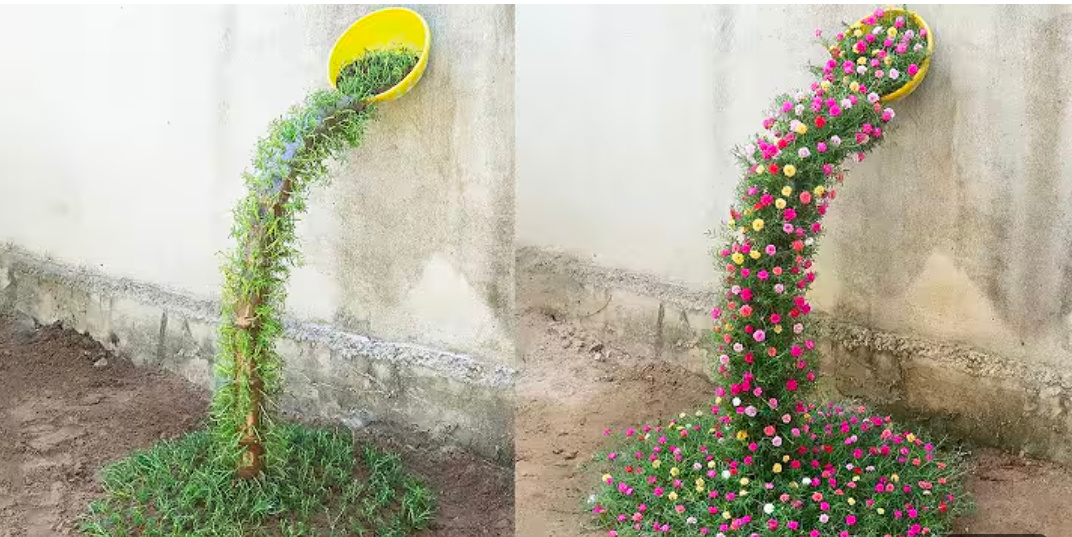 Krokot bentuk air terjun, Youtube Balcony and&nbsp;Garden.
