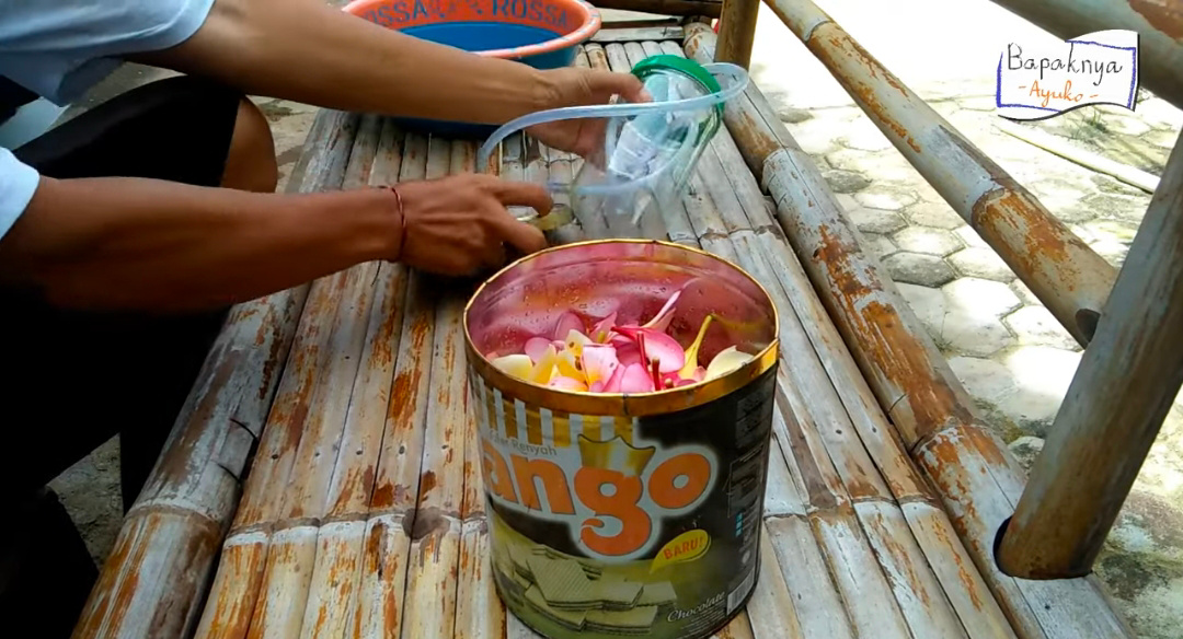 Menyuling bunga Kamboja (youtube Bapak&nbsp;Ayuko)