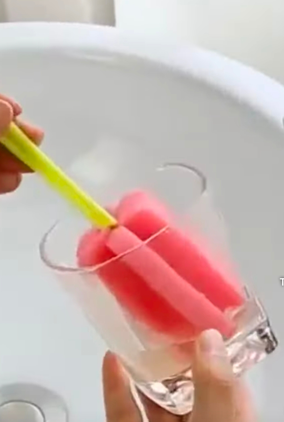 Pembersih botol.( YouTube Cute Overload.)