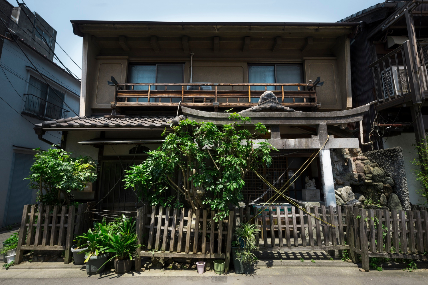 ilustrasi: Rumah ditutupi pohon. (FREEPIK)