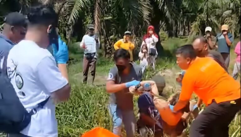EVAKUASI: Petugas kepolisian dan warga mengevakuasi temuan mayat di parit perkebunan  kelapa sawit,  Desa Air Itam dan Desa Cahaya Perdomuan. (LIBERTI/SUMUT POS)