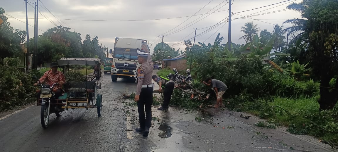 POHON TUMBANH: Personel Satlantas Polres Sergai saat membersihkan pohon tumbanh yang jatuh di litas jalan raya. (Dok: Humas Polres Sergai)