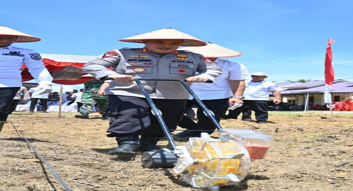 Kapolres Labuhanbatu Selatan AKBP Aditya S.P. Sembiring Muham, S.I.K. ikut menanam jagung bersama petani.(KHAIRUDDIN/SUMUT POS)