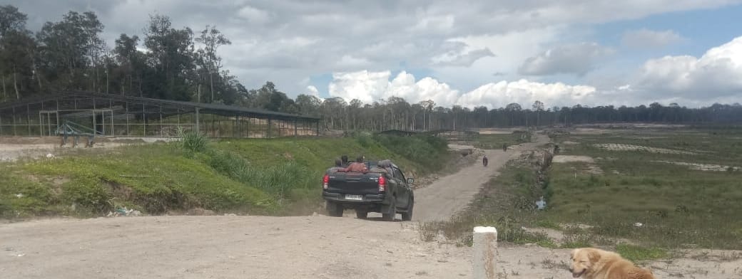 Mobil Hailux diduga milik para pelaku penolak PT GRUTI menerobos masuk areal perusahaan dan melakukan teror terhadap karyawan saat bekerja, Rabu (8/10/2025).(Istimewa/Sumut Pos)
