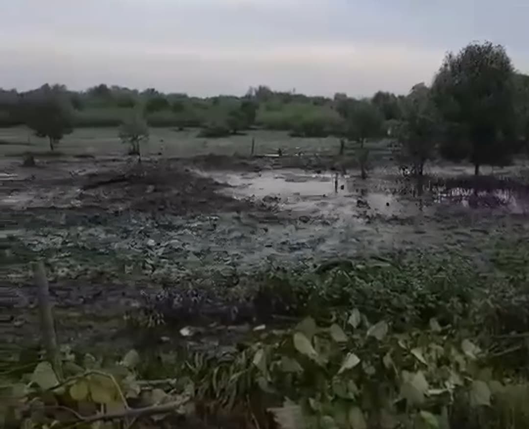 Lokasi penimbunan Hutan Mangrove yang dilakukan PT DBU di Kelurahan Sicanang, Medan Belawan.(ISTIMEWA/SUMUT POS)