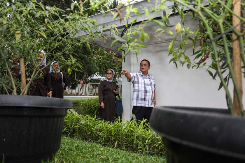 CABAI: Wesly Silalahi menunjukkan tanaman cabai di pekarangan rumah kepada para suster. (Dok: istimewa for Sumut Pos)