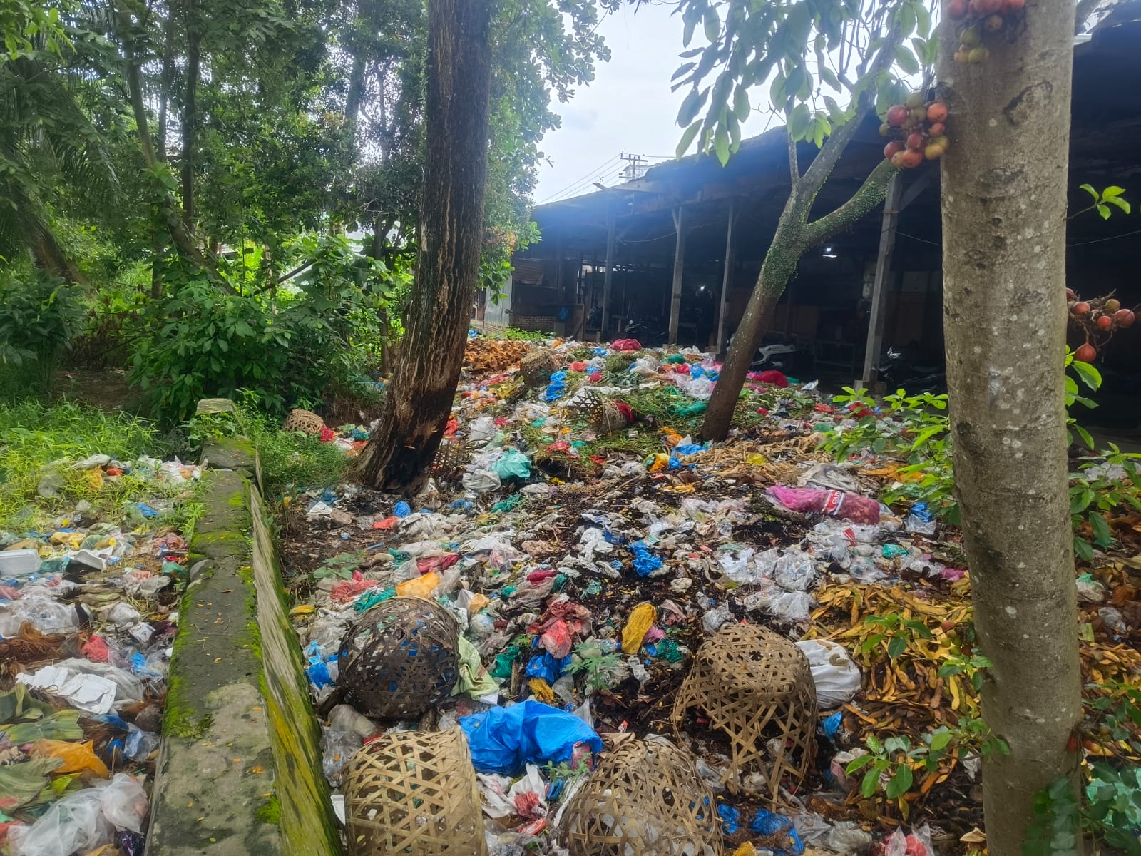 Tumpukan sampah berbagai jenis, mulai dari plastik, sisa sayuran hingga limbah kelapa, terlihat menggunung di tepi aliran Sungai Padang, Kamis (23/10). (AZAN PURBA/SUMUT POS)