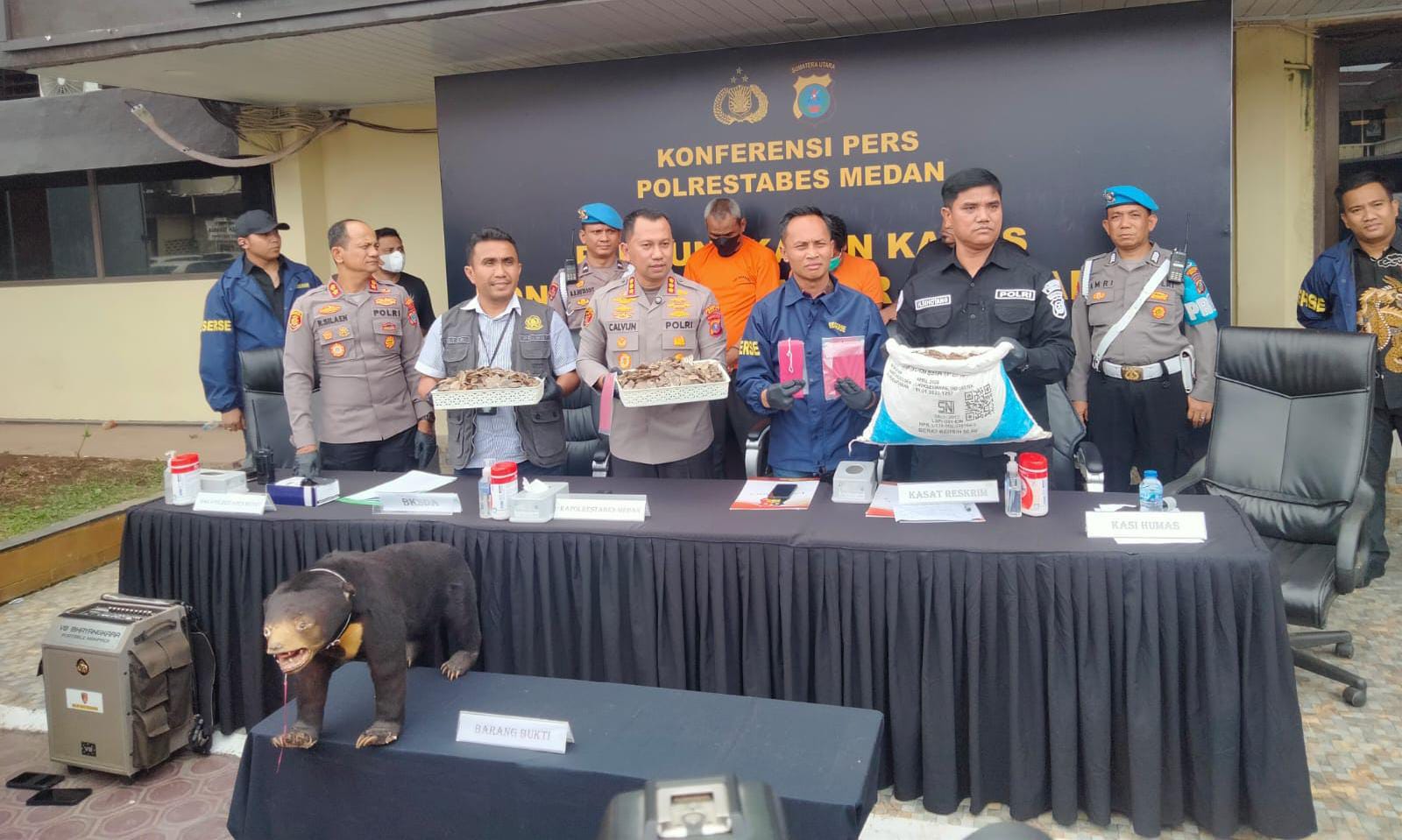 SATWA: Polrestabes Medan memaparkan pengungkapan perdagangan satwa dilindungi dengan dua orang tersangka, Jumat (14/11).