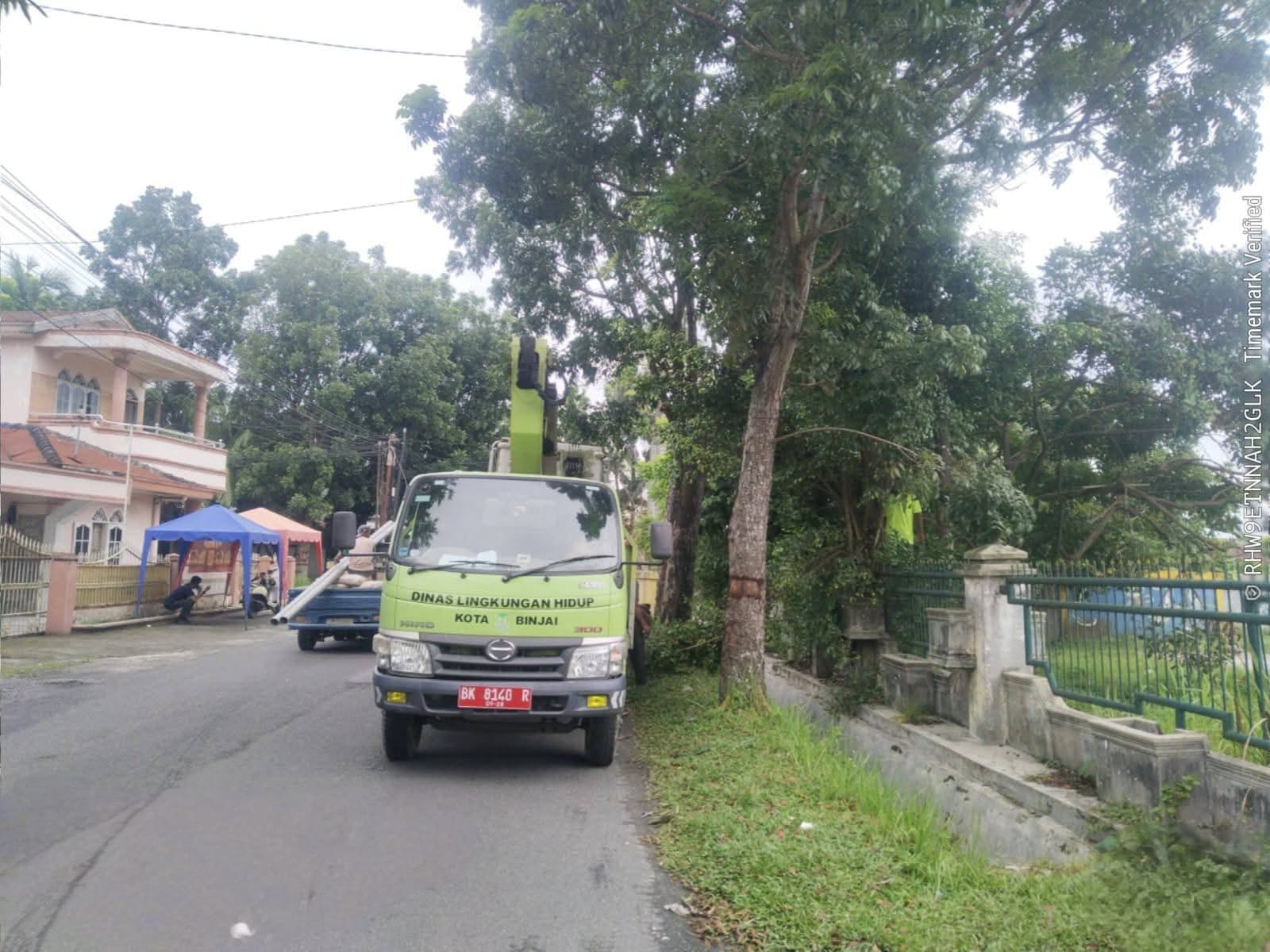 Petugas dari DLH Binjai saat pangkas ranting pohon yang membahayakan pengendara. (Istimewa/Sumut Pos)