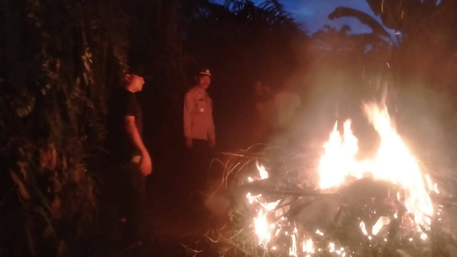 Petugas membakar gubuk diduga barak narkoba di Tanjungpura, Langkat. (Istimewa/Sumut Pos)