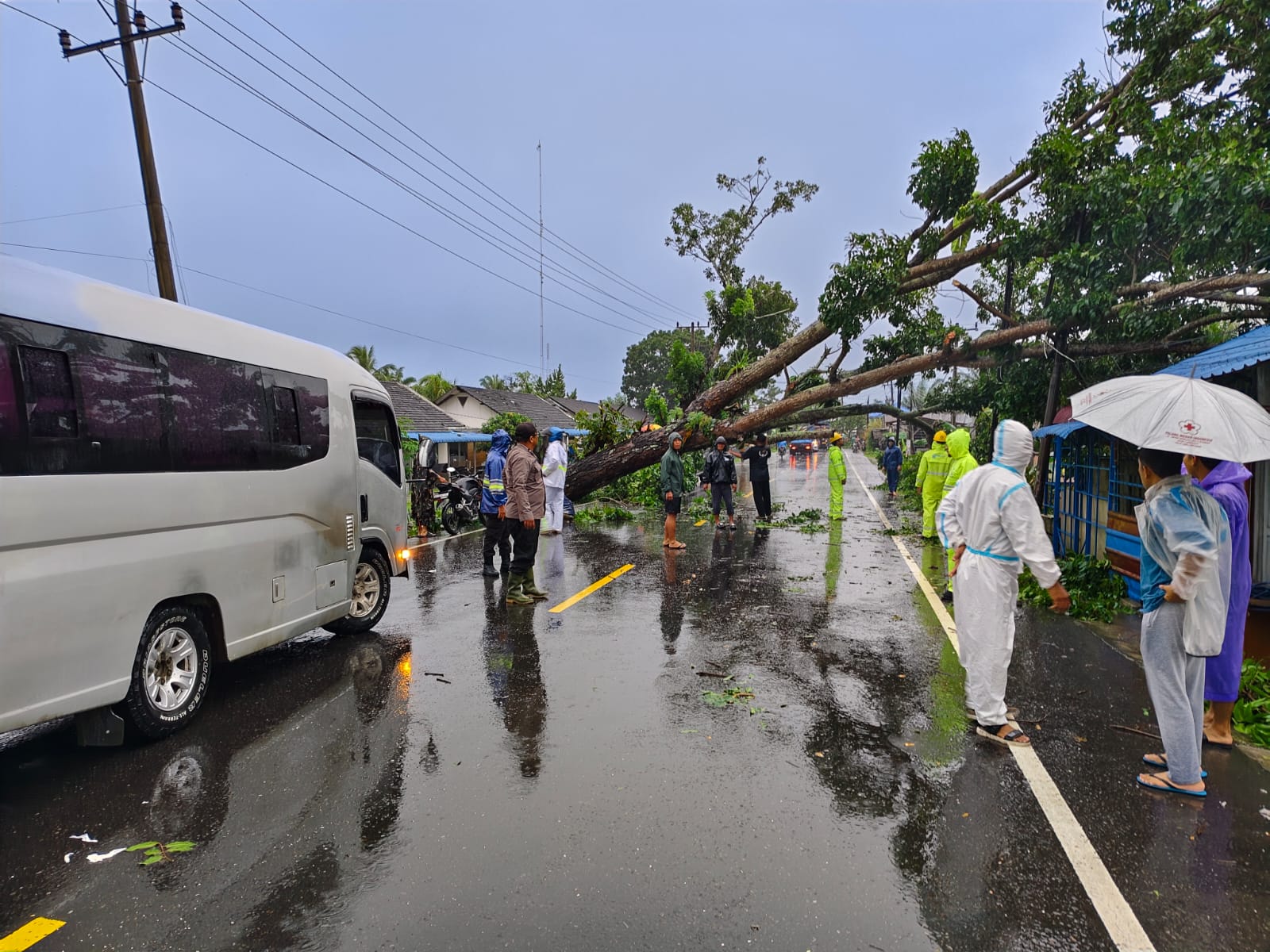 Pohon tumbang di Jalinsum Medan-Aceh, Dusun II Securai Pasar, Desa Securai Utara, Babalan, Langkat. (Istimewa/Sumut Pos)