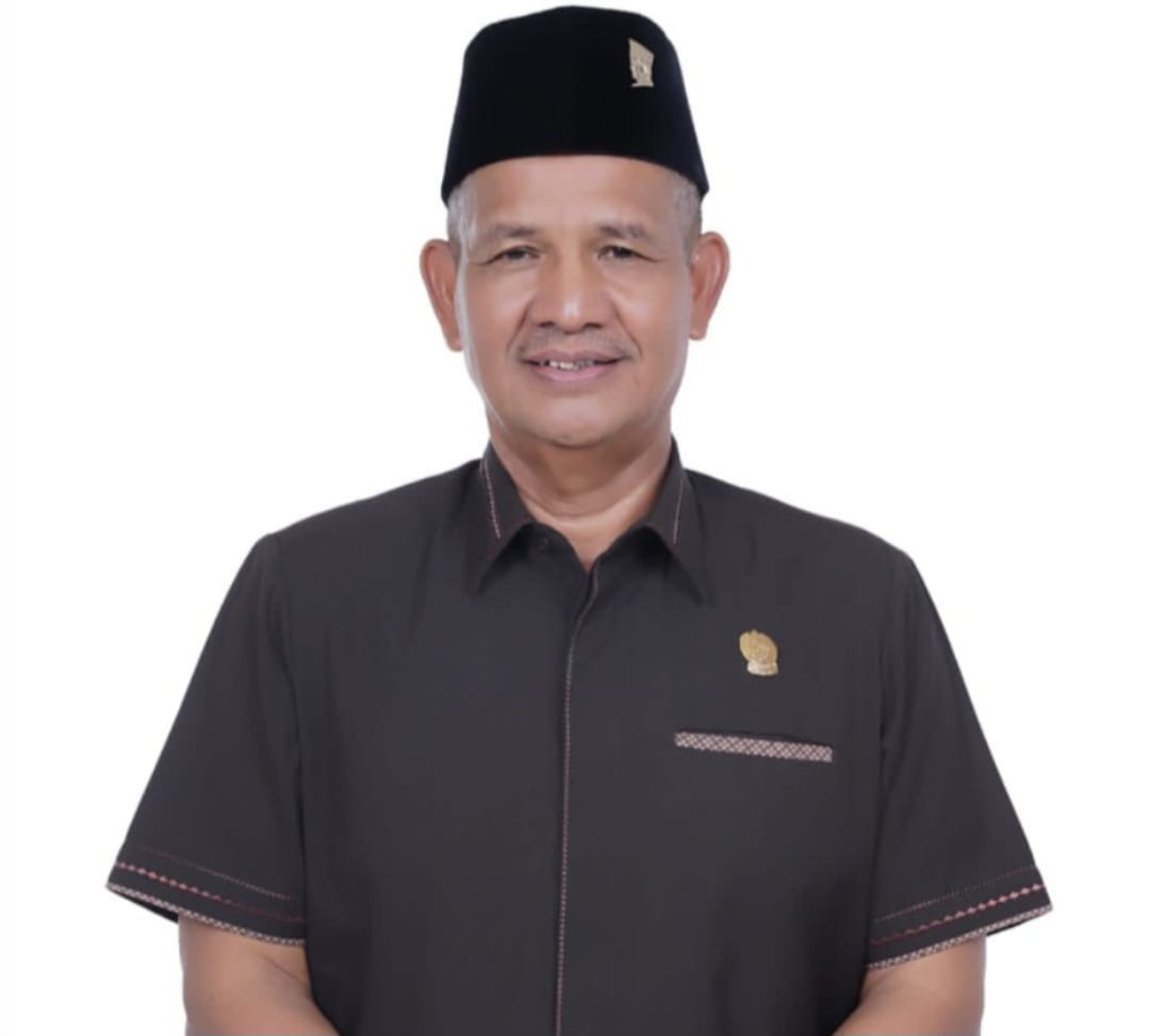 Wakil Ketua DPRD Sumut, Dr Sutarto M.Si. (Dok: istimewa)