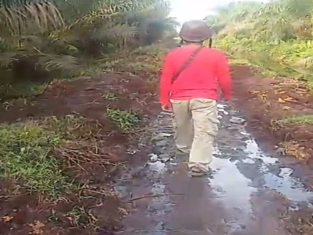 Badan jalan tak bisa dilalui kenderaan roda empat pengangkut hasil perkebunan sawit warga. (Fajar/Sumut Pos)