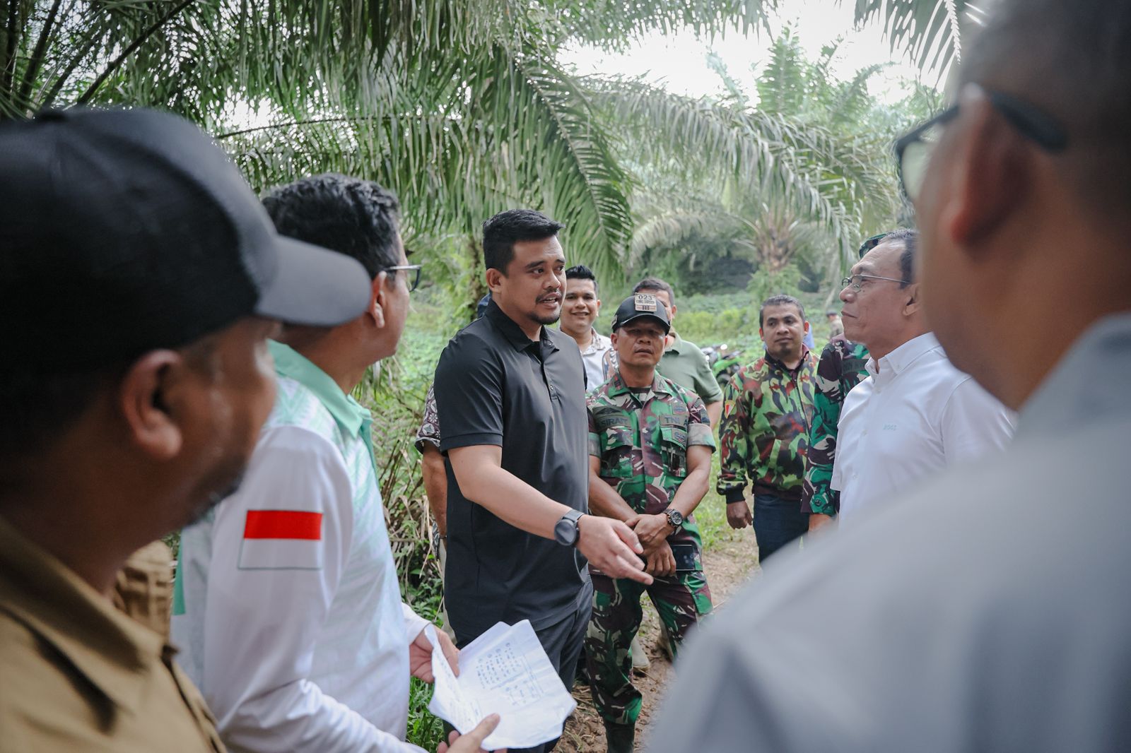 LAHAN: Gubsu Bobby Nasution dan Bupati Tapsel Gus Irawan Pasaribu saat meninjau lahan sawit milik warga. (Dok: istimewa)