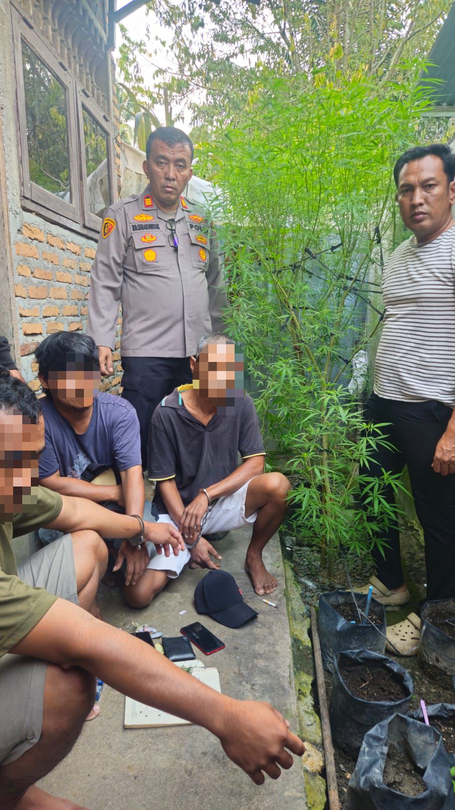 tiga terduga kepemilikan ganja saat diamankan kapolsek Dolok Masihul dan jajaran. ( Fad )