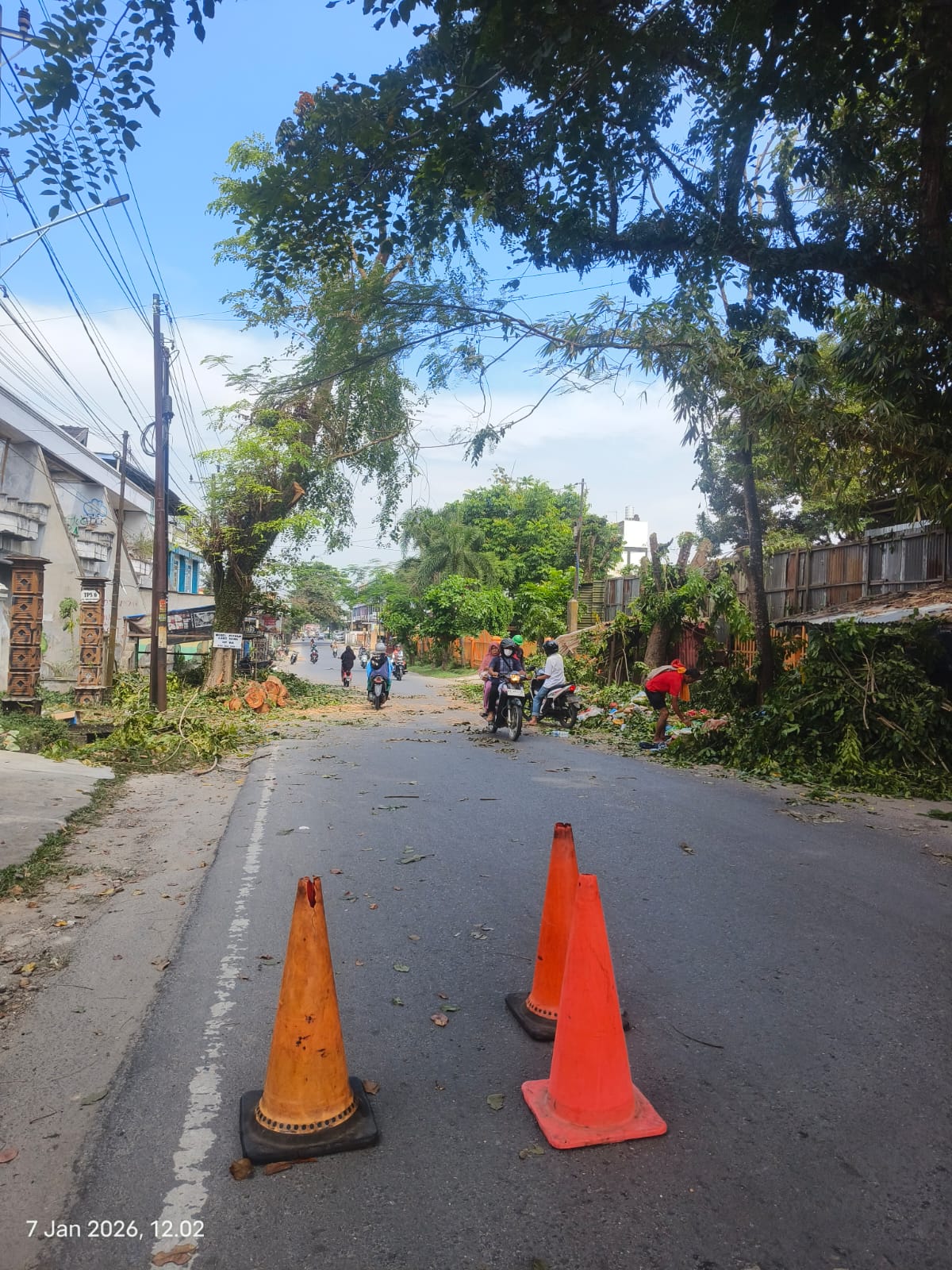 Petugas Dinas Lingkungan Hidup (DLH) melakukan pemangkasan pohon di sepanjang Jalan Deblot Sindoro, Kota Tebing Tinggi. (AZANUARI/SUMUT POS)