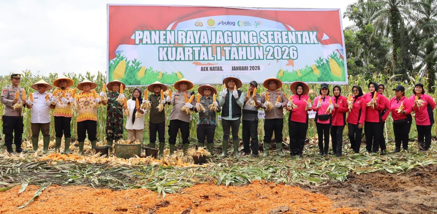 Panen Raya Jagung Serentak Kuartal I Tahun 2026 dalam rangka mendukung ketahanan pangan nasional. ( FAJAR/ SUMUT POS)