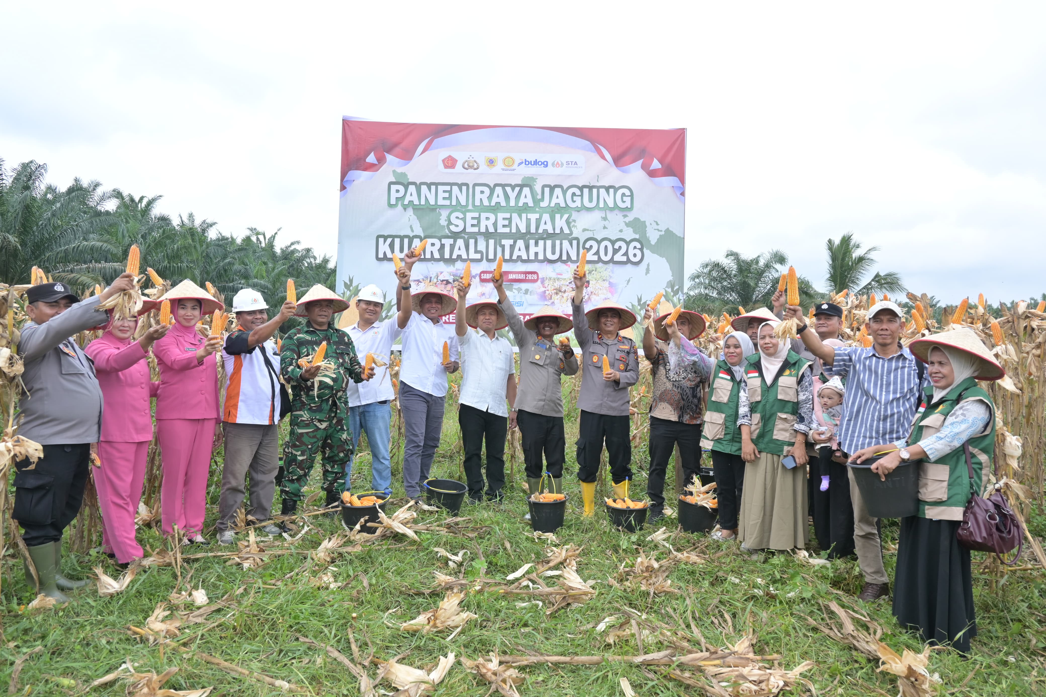Polres Labuhanbatu Selatan melaksanakan panen raya jagung di lahan pertanian milik PT STA seluas satu hektare. (KHAIRUDDIN/SUMUT POS)