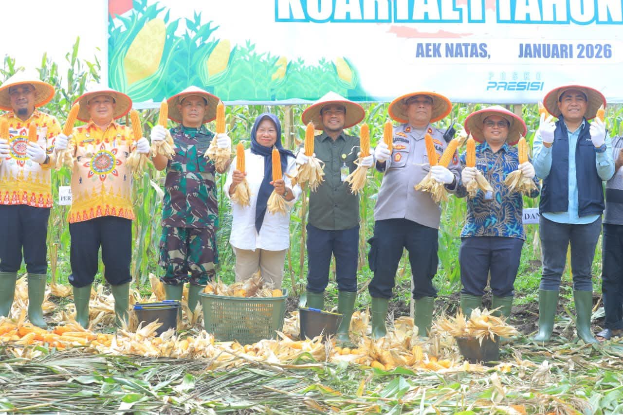Wakil Bupati Samsul Tanjung Hadiri Panen Raya Jagung Serentak Tahun 2026. (Asri Tarigan/Sumutpos )