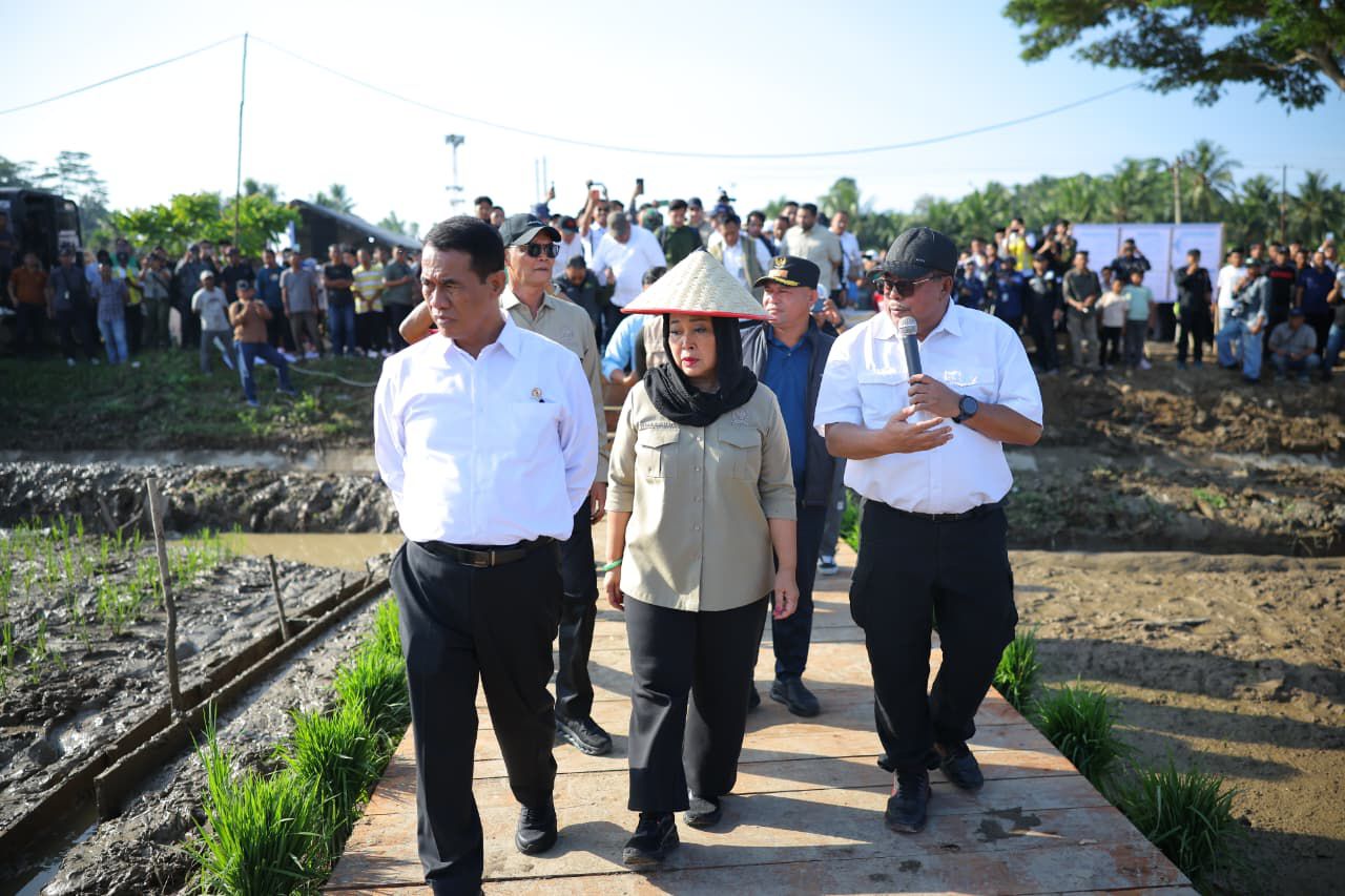 LAHAN: Menteri Pertanian Andi Amran Sulaiman saat melihat pemulihan lahan pertanian pascabencana, di Lhokseumawe, Aceh, Kamis (15/1/2026). (Dok: istimewa)
