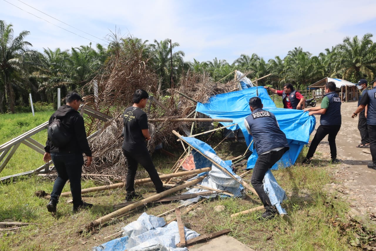 Barak narkoba diduga milik KD saat dihancurkan Satresnarkoba Polres Binjai. (Humas Polres Binjai/Sumut Pos)