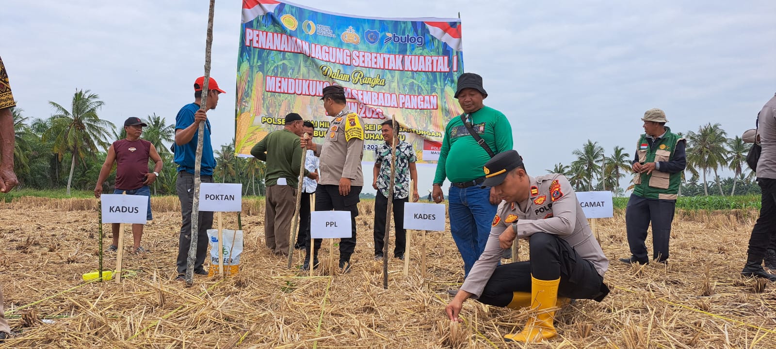 Kapolsek Panai Hilir memimpin kegiatan Penanaman Jagung Serentak Kuartal I (Fajar/ Sumut Pos)