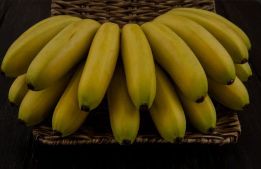 ilustrasi, pisang ternyata menjadi salah satu buah yang bisa memicu tinggi badan anak. (freepik.com)