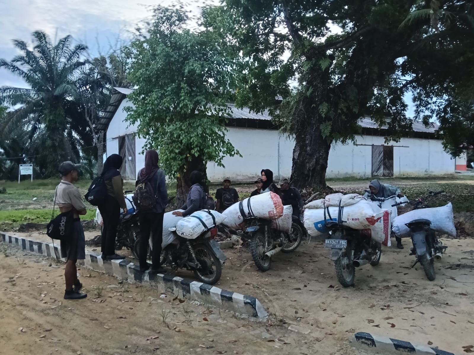  Barang bukti brondolan sawit seberat ratusan kilogram dibawa ke Kantor Afdeling XIII. (Istimewa/Sumut Pos)
