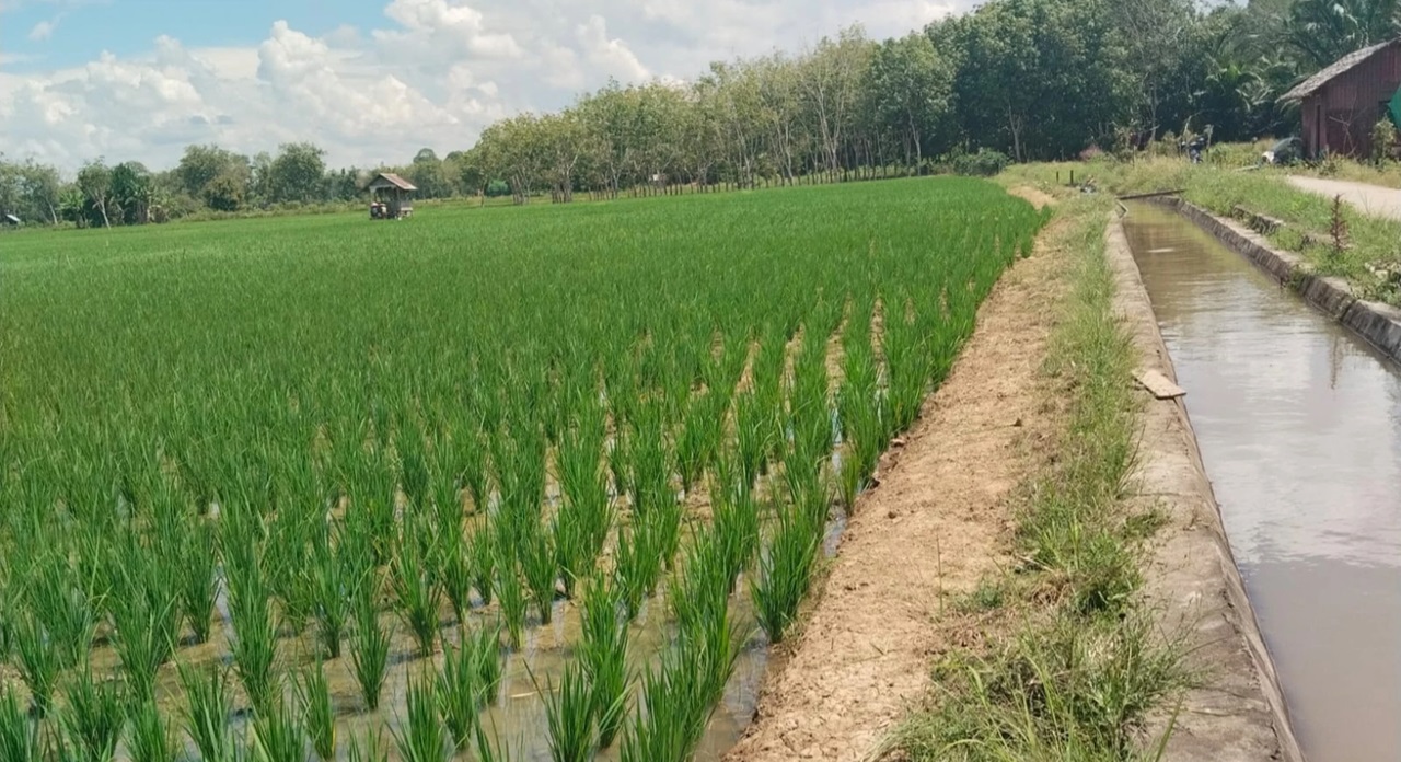 Saluran Irigasi (dok : Kementan)