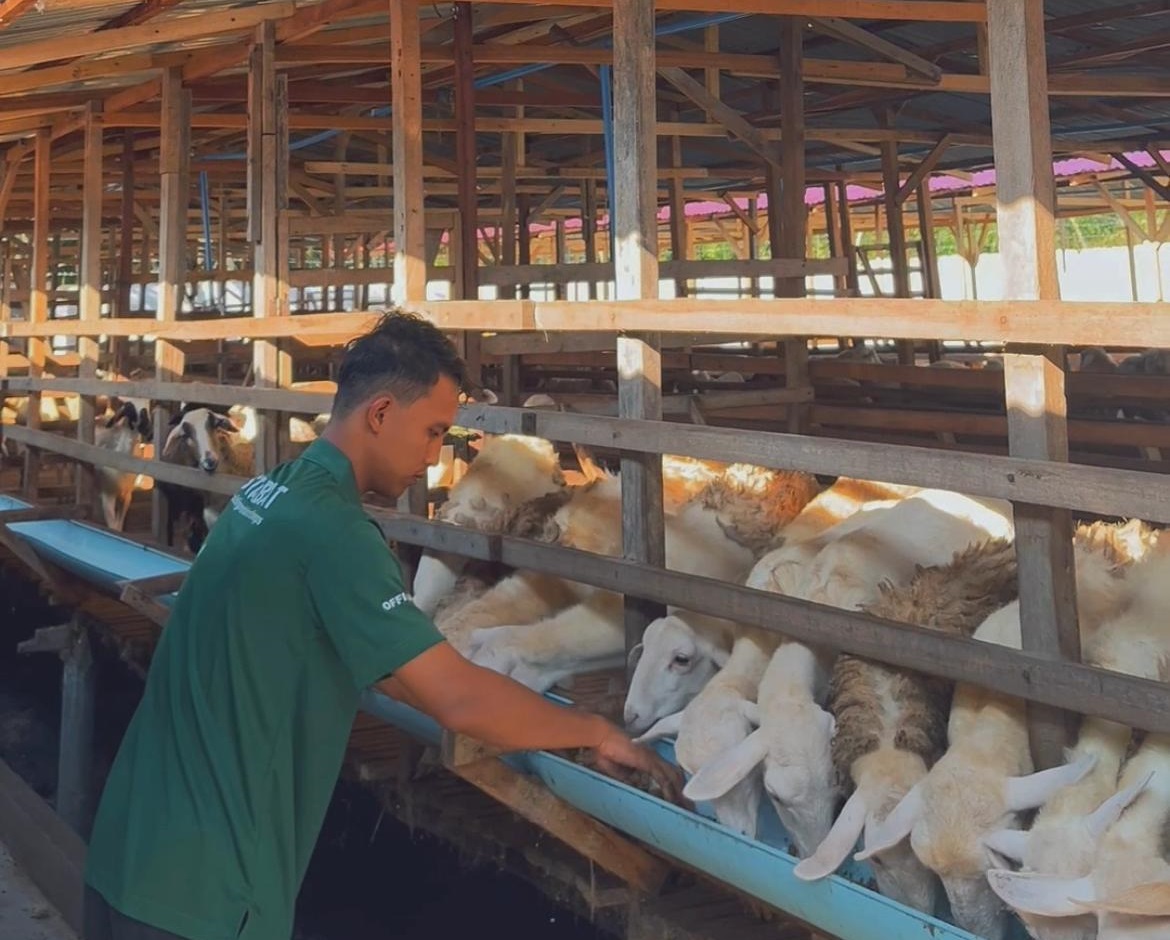 PT Aliyah Rizq Agriculture bekerja sama dengan Kerajaan Kejeruan Metar Bilad Deli (KMBD) akan melaksanakan kegiatan pemotongan dan pembagian hewan kurban warga Indonesia, Singapura dan Malaysia.