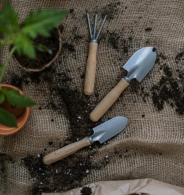 ilustrasi hobi berkebun. (Pexels.com)