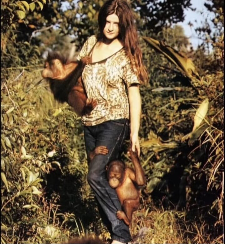 Ibu Orangutan&rdquo; Prof. Birut&eacute; Mary Galdikas. (Instagram @pandemictalks)