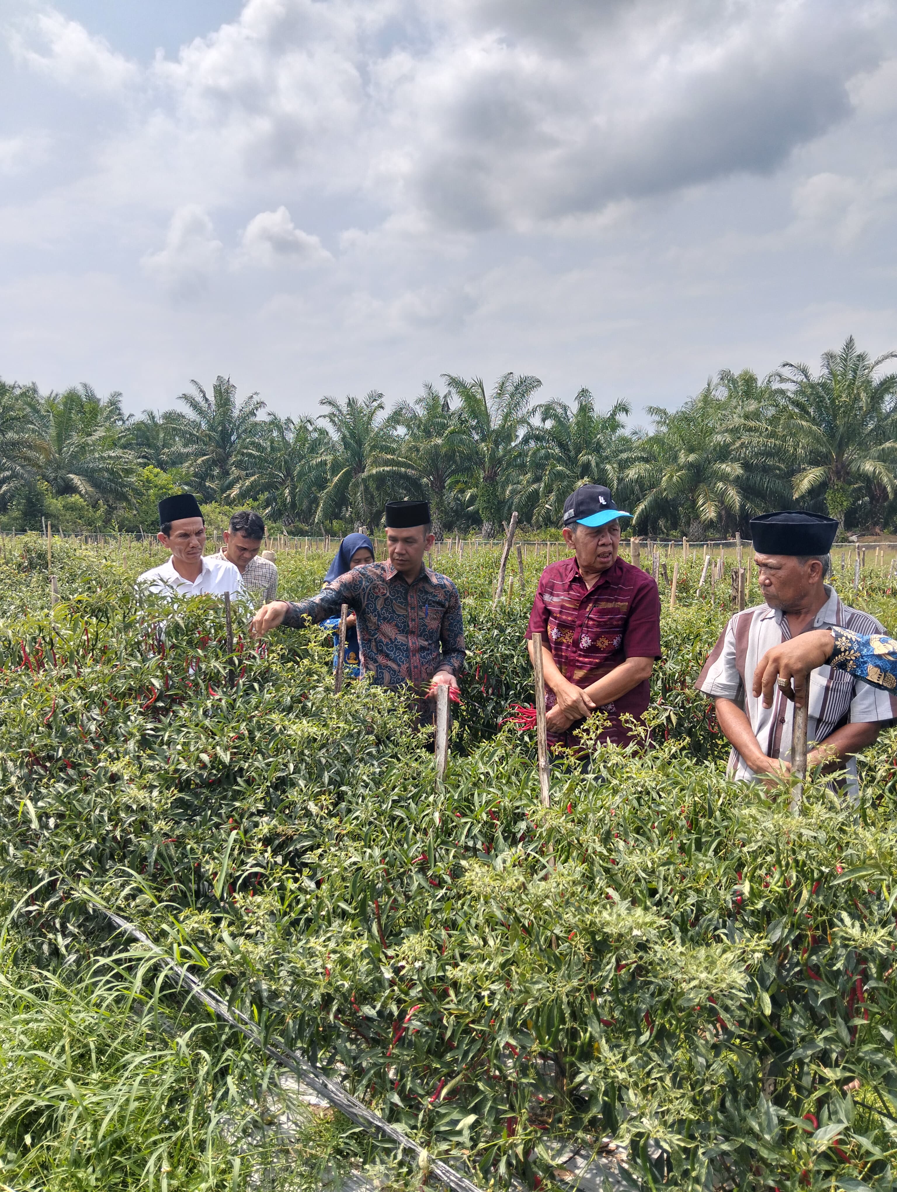 Wakil Bupati Padang Lawas Utara, Basri Harahap jembatani petani dan usaha lokal agar bisa mengkikuti Program MBG. (MITRA HARAHAP/SUMUT POS)