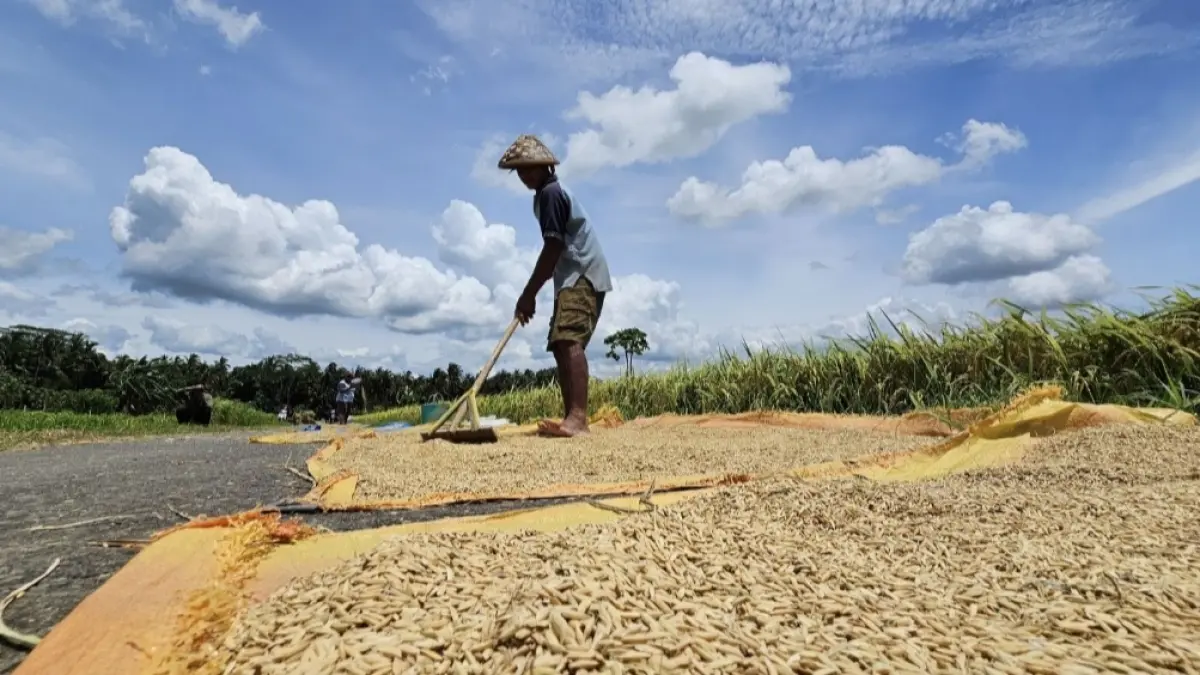 Melalui implementasi lima strategi utama di lapangan, Menteri Pertanian  Andi Amran Sulaiman mempercepat langkah mitigasi menghadapi potensi El Nino. (dok : Kementan)